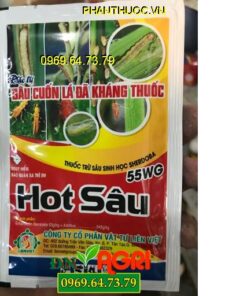 SHERDOBA 55WG – HOT SÂU – Đặc Trị Sâu Cuốn Lá Đã Kháng Thuốc