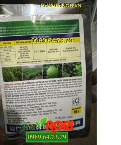 THUỐC TRỪ SÂU SINH HỌC ECO – Đặc Trị Sâu Vẽ Bùa, Sâu Cuốn Lá, Sâu Tơ, Sùng, Sâu Róm, Bọ Nhảy