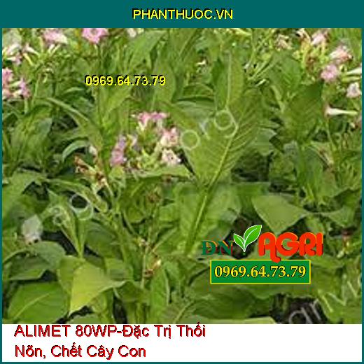 ALIMET 80WP-Đặc Trị Thối Nõn, Chết Cây Con