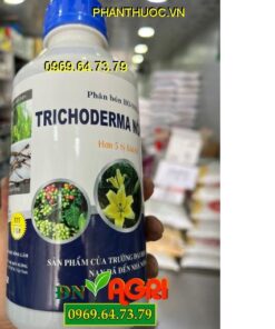 TRICHODERMA NÔNG LÂM – PHÂN BÓN VI SINH CAO CẤP CHO CÂY TRỒNG