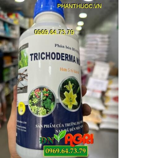 TRICHODERMA NÔNG LÂM – PHÂN BÓN VI SINH CAO CẤP CHO CÂY TRỒNG