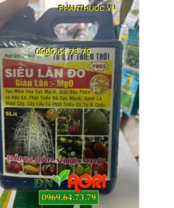 TỨ QUÝ THIÊN THỜI SIÊU LÂN ĐỎ GIÀU LÂN MgO – Tạo Mầm Hoa, Phát Rễ, Xanh Lá, Củ To