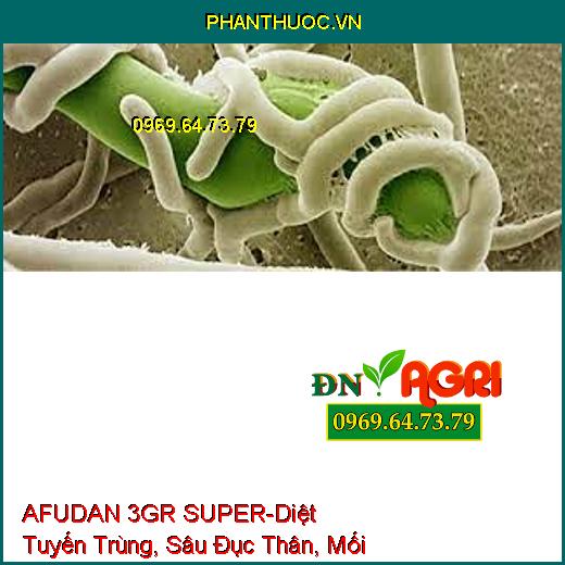 AFUDAN 3GR SUPER-Diệt Tuyến Trùng, Sâu Đục Thân, Mối Mọt