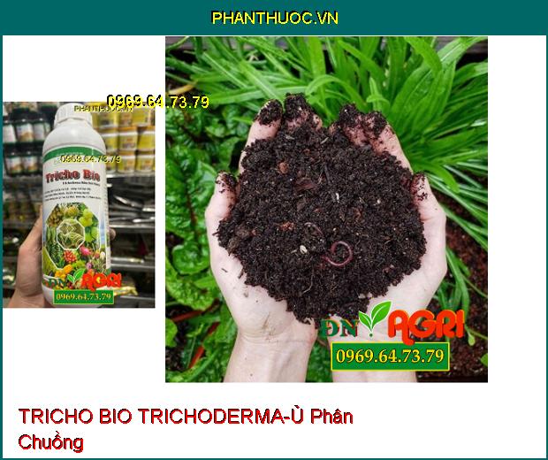 BIO SACOTEC TRICHO BIO TRICHODERMA NẤM ĐỐI KHÁNG-Xử Lý Rôm Rạ, Ủ Phân Chuồng