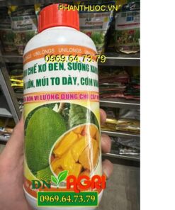 UNILONGS- Lớn Trái, Múi To, Dày Cơm, Hạn Chế Sơ Đen, Sượng Xanh