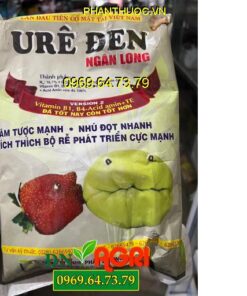 URE ĐEN NGÂN LONG- Kích Rễ, Đâm Tược, Nhú Đọt