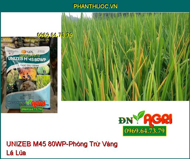 THUỐC TRỪ BỆNH UNIZEB M45 80WP-Dưỡng Cây Xanh Lá, Phòng Trừ Nấm Bệnh, Rỉ Sắt, Thán Thư