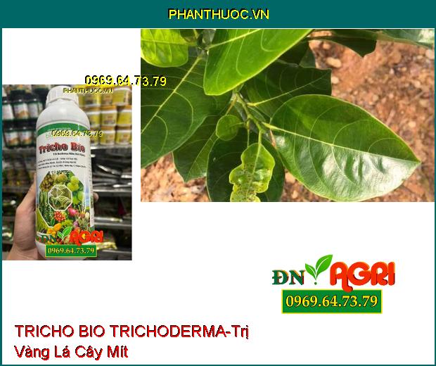 BIO SACOTEC TRICHO BIO TRICHODERMA NẤM ĐỐI KHÁNG-Xử Lý Rôm Rạ, Ủ Phân Chuồng