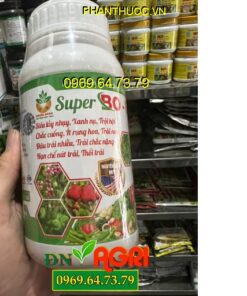 SUPER BO USA – Tăng Thụ Phấn Đậu Trái, Tránh Rụng Bông Trái Non, Trái To, Chắc Hạt