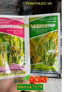 VIETEAM 82WP SUNSHI 21WP – Đặc Trị Đạo Ôn Lá, Thân Cổ Bông, Cháy Bìa Lá, Lem Lép Hạt