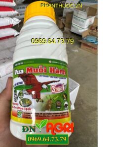 VUA MUỖI HÀNH KTEDO 85EC – Đặc Trị Bọ Trĩ, Sâu Đục Thân, Nhện Gié, Rệp Sáp, Rầy Nâu