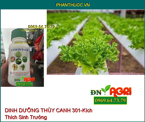 SẢN PHẨM DINH DƯỠNG THỦY CANH 301-Kích Thích Sinh Trưởng, Không Nhiễm Kim Loại