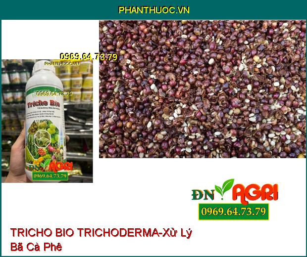 BIO SACOTEC TRICHO BIO TRICHODERMA NẤM ĐỐI KHÁNG-Xử Lý Rôm Rạ, Ủ Phân Chuồng