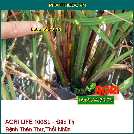 AGRI LIFE 100SL – Đặc Trị Bệnh Thán Thư,Thối Nhũn