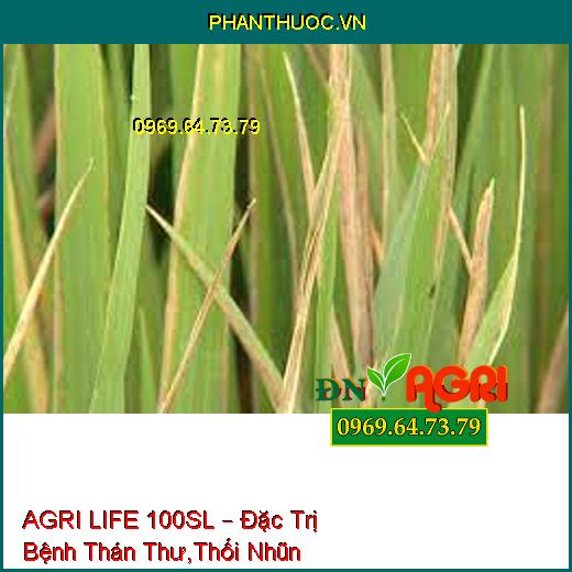 AGRI LIFE 100SL – Đặc Trị Bệnh Thán Thư,Thối Nhũn