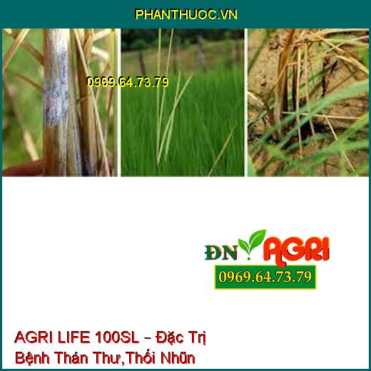 AGRI LIFE 100SL – Đặc Trị Bệnh Thán Thư,Thối Nhũn