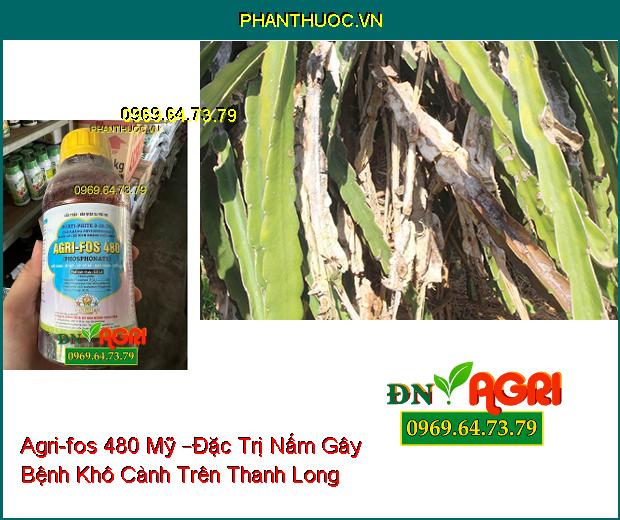 Agri-fos 480 Mỹ –Đặc Trị Nấm Gây Hại Nhanh Chóng Làm Lành Vết Thương