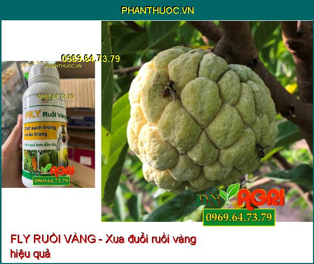 FLY RUỒI VÀNG –Xua Đuổi Côn Trùng, Ruồi Vàng, Các Loại Sâu Hại Cây Trồng