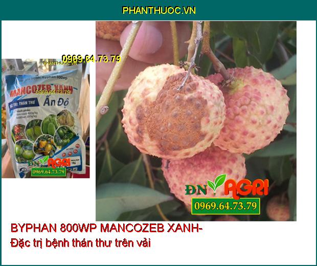 BYPHAN 800WP MANCOZEB XANH-ĐẶC TRỊ BỆNH SƯƠNG MAI, THỐI TRÁI, THÁN THƯ