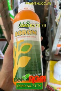 PHÂN BÓN ALS BORON BORAMIDE – Chống Rụng Bông, Đen Bông, Dưỡng Hạt Phấn, Trỗ Bông Đồng Loạt, Chống Rụng Trái Non