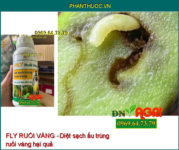 FLY RUỒI VÀNG –Xua Đuổi Côn Trùng, Ruồi Vàng, Các Loại Sâu Hại Cây Trồng