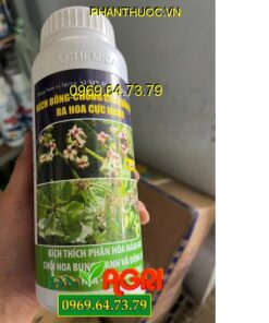 AUMY FLOWERING 0-4-4 – KÍCH BÔNG CHỐNG CHAI ĐẦU ĐỌT RA HOA CỰC MẠNH