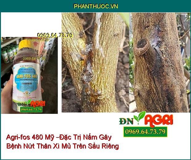 Agri-fos 480 Mỹ –Đặc Trị Nấm Gây Hại Nhanh Chóng Làm Lành Vết Thương