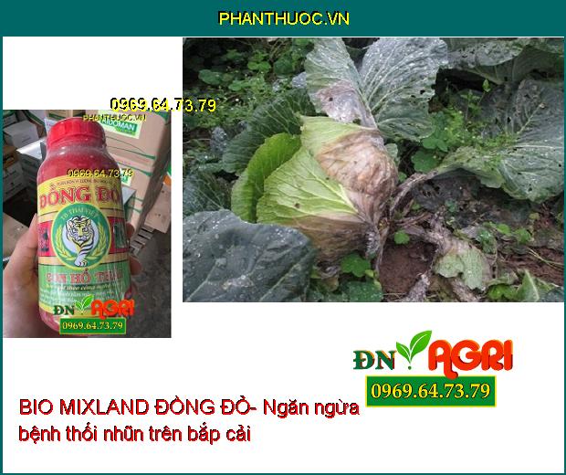 PHÂN BÓN VI LƯỢNG BIO MIXLAND ĐỒNG ĐỎ-Trị Bệnh Nứt Thân, Xì Mũ, Trái Bóng Đẹp, Nặng Ký