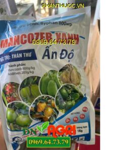 THUỐC TRỪ BỆNH BYPHAN 800WP MANCOZEB XANH – Đặc Trị Thán Thư TRên Cây Trồng