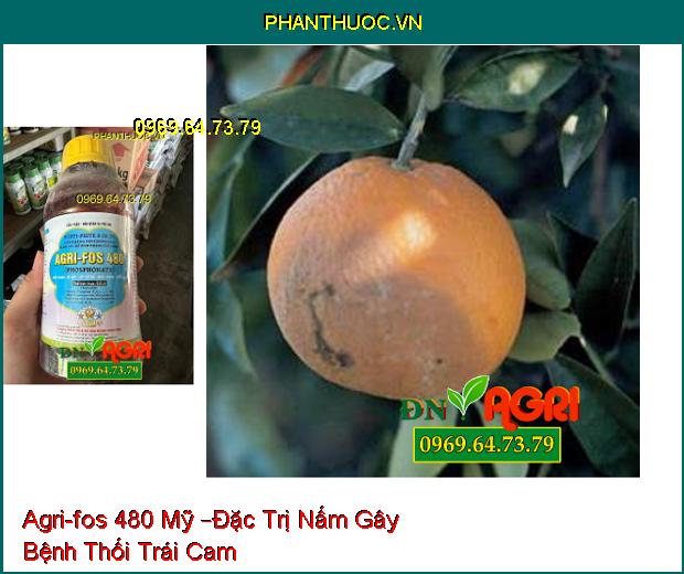 Agri-fos 480 Mỹ –Đặc Trị Nấm Gây Hại Nhanh Chóng Làm Lành Vết Thương