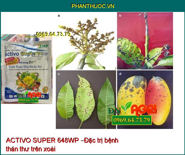 ACTIVO SUPER 648WP –ĐẶC TRỊ PHẤN TRẮNG, SƯƠNG MAI, CÁC LOẠI NẤM BỆNH