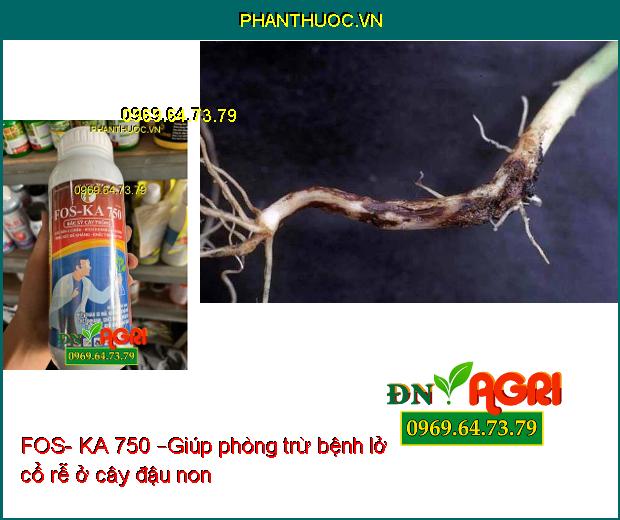 FOS- KA 750 –Phân Hóa Mầm Hoa, Ra RỄ Cực Mạnh, Diệt Trừ Nấm Bệnh