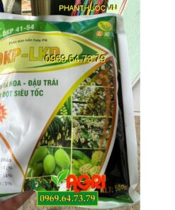 MH-DKP 41-54 PHÂN BÓN HỖN HỢP PK DKP-LKD – Kích Ra Hoa, Đậu Trái, Chặn Đọt Siêu Tốc