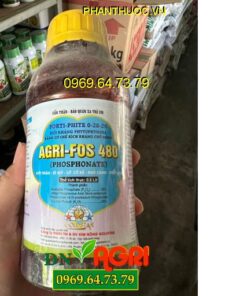 Agri-fos 480 Mỹ – Đặc Trị Vàng Lá Thối Rễ, Nứt Thân, Xì Mủ, Khô Cành, Thối Quả