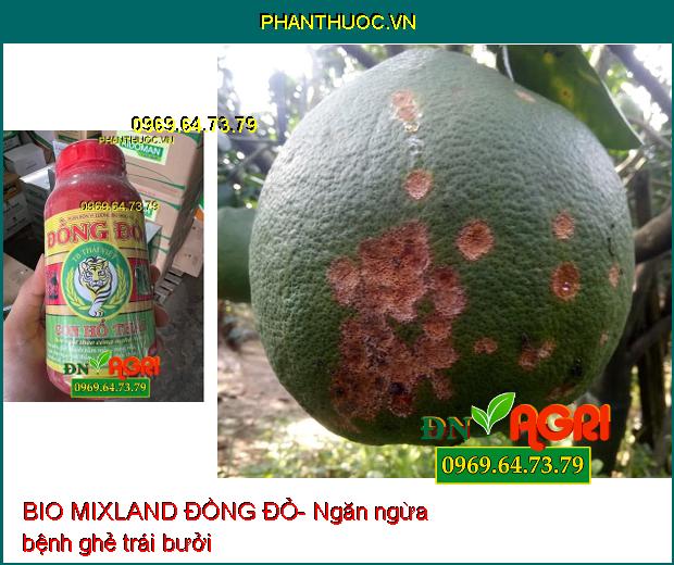 PHÂN BÓN VI LƯỢNG BIO MIXLAND ĐỒNG ĐỎ-Trị Bệnh Nứt Thân, Xì Mũ, Trái Bóng Đẹp, Nặng Ký