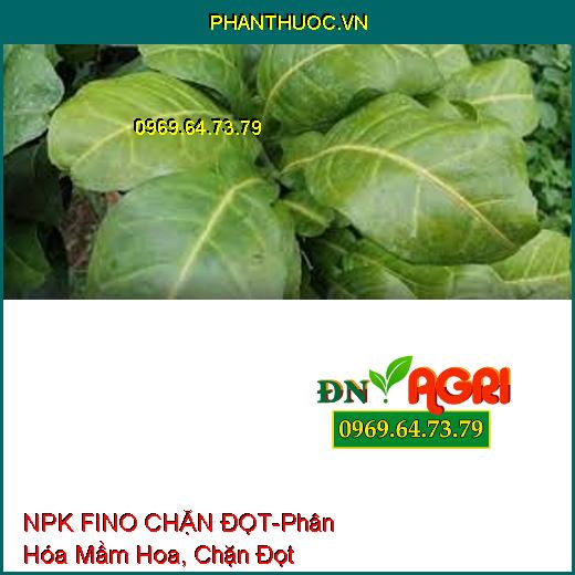 PHÂN BÓN LÁ NPK FINO CHẶN ĐỌT-Phân Hóa Mầm Hoa, Chặn Đọt, Nhanh Gìa Lá