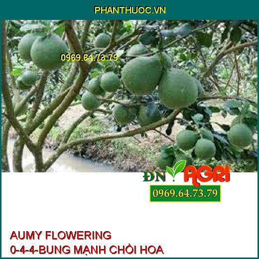 AUMY FLOWERING 0-4-4-BUNG MẠNH CHỒI HOA, CHỐNG RỤNG HOA, TRÁI NON