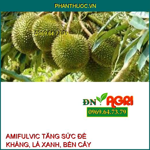 AMIFULVIC –TĂNG SỨC ĐỀ KHÁNG, TẠO BỘ LÁ XANH, BỀN CÂY