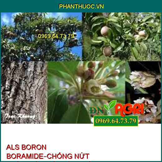 PHÂN BÓN ALS BORON BORAMIDE–CHỐNG NỨT TRÁI THỐI TRÁI, VÀNG LÁ, RỤNG HOA TRÁI NON