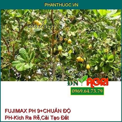 FUJIMAX PH 9+ CHUẨN ĐỘ pH-Kích Ra Rễ , Cải Tạo Đất, Ngăn Ngừa Nấm Bệnh