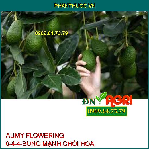 AUMY FLOWERING 0-4-4-BUNG MẠNH CHỒI HOA, CHỐNG RỤNG HOA, TRÁI NON