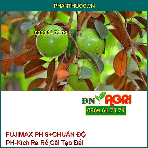 FUJIMAX PH 9+ CHUẨN ĐỘ pH-Kích Ra Rễ , Cải Tạo Đất, Ngăn Ngừa Nấm Bệnh