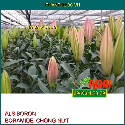 PHÂN BÓN ALS BORON BORAMIDE–CHỐNG NỨT TRÁI THỐI TRÁI, VÀNG LÁ, RỤNG HOA TRÁI NON