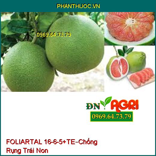 PHÂN BÓN FOLIARTAL 16-6-5+TE–Chống Rụng Trái Non, Bung Hoa Đồng Loạt, Trái To