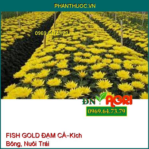 FISH GOLD ĐẠM CÁ–Kích Bông, Nuôi Trái, Cải Tạo Đất, Hạ Phèn, Ra Rễ, Bung Đọt Non