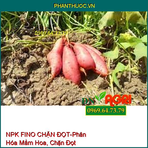 PHÂN BÓN LÁ NPK FINO CHẶN ĐỌT-Phân Hóa Mầm Hoa, Chặn Đọt, Nhanh Gìa Lá