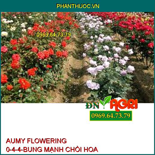 AUMY FLOWERING 0-4-4-BUNG MẠNH CHỒI HOA, CHỐNG RỤNG HOA, TRÁI NON