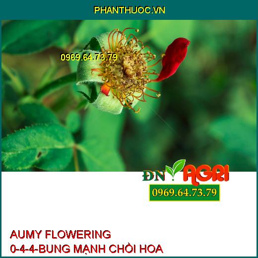 AUMY FLOWERING 0-4-4-BUNG MẠNH CHỒI HOA, CHỐNG RỤNG HOA, TRÁI NON