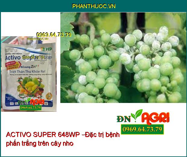 ACTIVO SUPER 648WP –ĐẶC TRỊ PHẤN TRẮNG, SƯƠNG MAI, CÁC LOẠI NẤM BỆNH