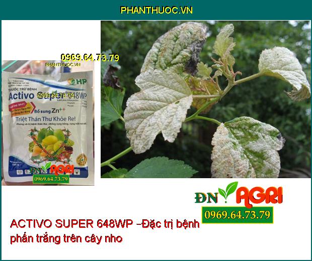 ACTIVO SUPER 648WP –ĐẶC TRỊ PHẤN TRẮNG, SƯƠNG MAI, CÁC LOẠI NẤM BỆNH